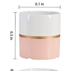 Ekirlin 6 inch Plant Pot 