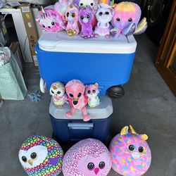 Collection Of Squishmallows And Ty Plushies