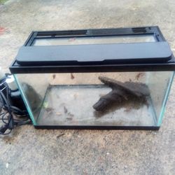10 Gallon Aquarium Reptile Lite Drift Wood