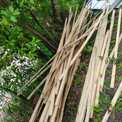 All wood on pics $100 Located Mount Dora Fla 32757