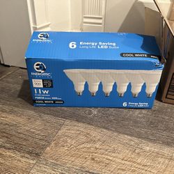 Lot 30 LED Recessed Light Bulbs