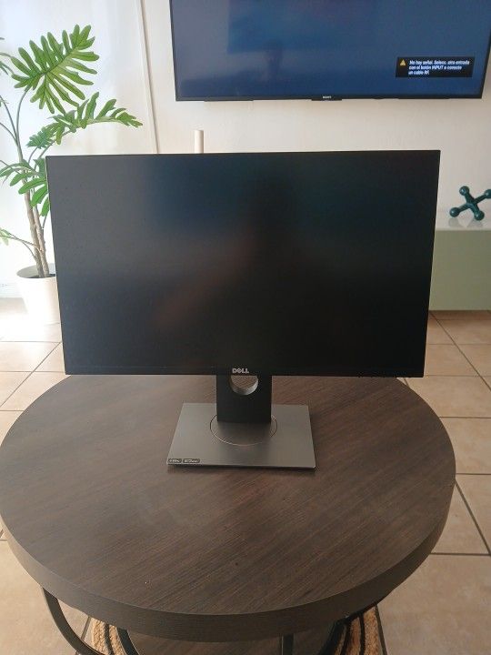 Dell 24"  2k G-Sync Gaming Monitor 