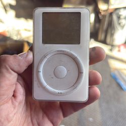 Vintage iPod No Charger 