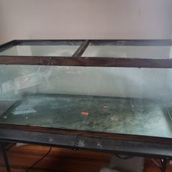 75 Gallon Tank