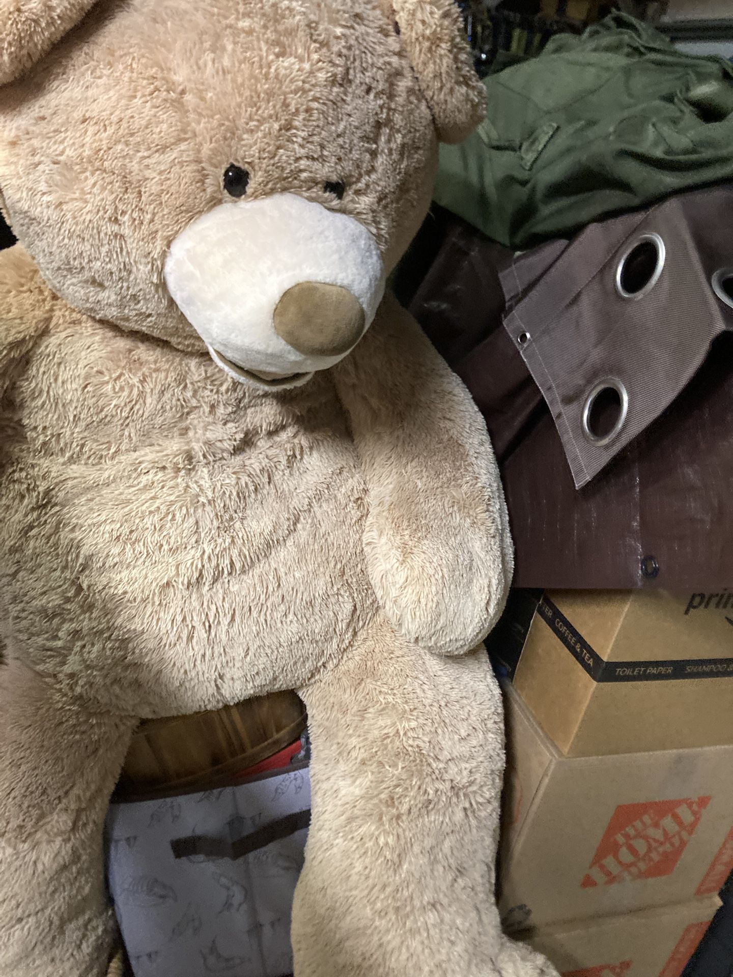 Teddy Bear, Life Size from Costco