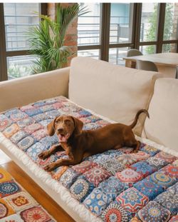 Pet sofa cover