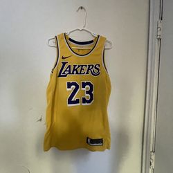 Lebron James Lakers jersey