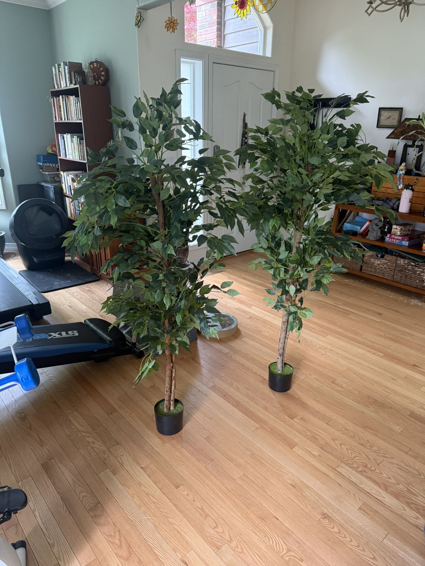 Fake Plants