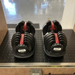 Bowflex SelectTech 552 Pair Of Adjustable Dumbells (5lb-52.5lb)