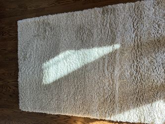 Crate & Barrel Memphis Shag Rug