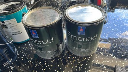 Paint/ used