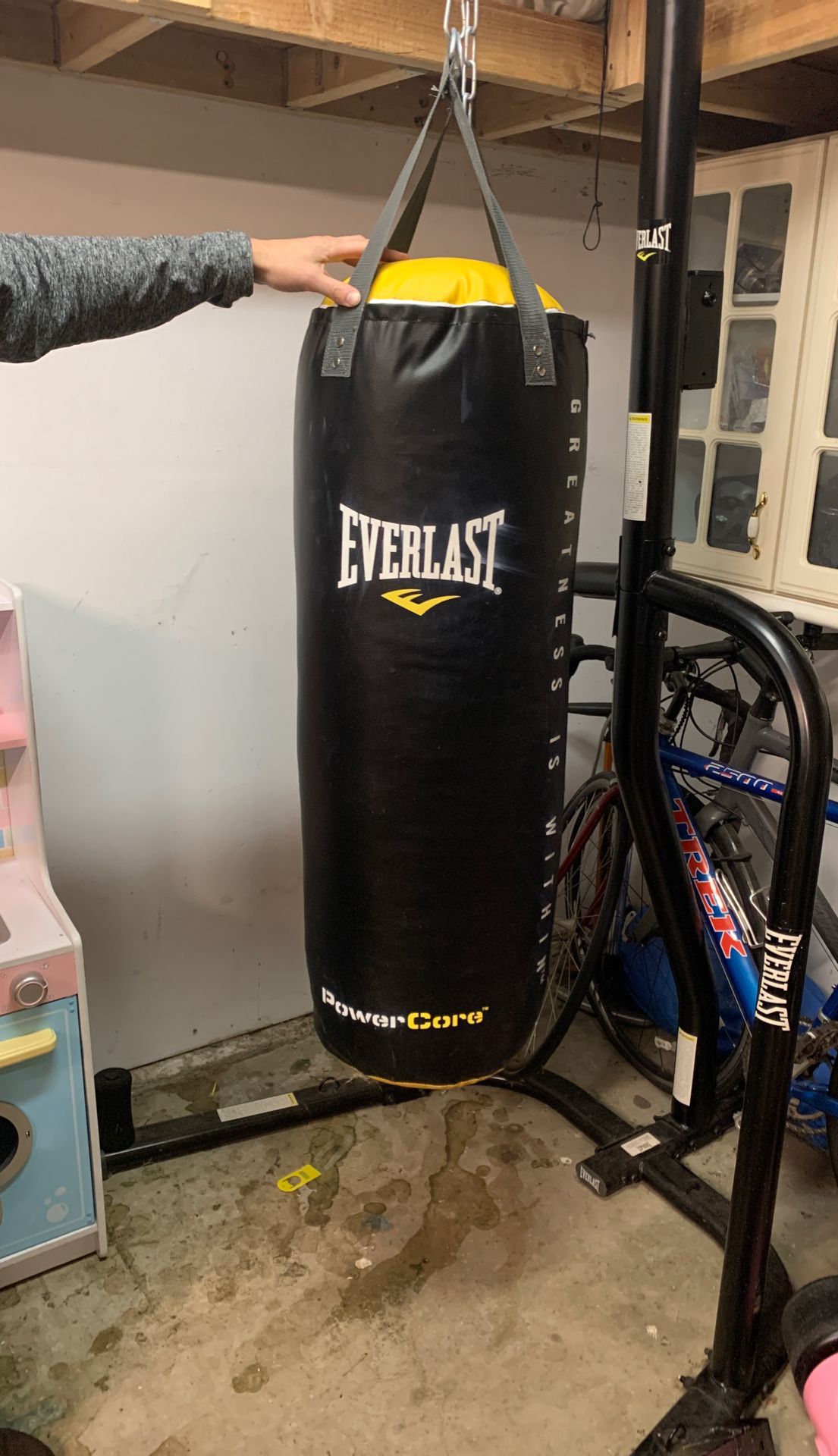 Everlast Dual Bag and Stand