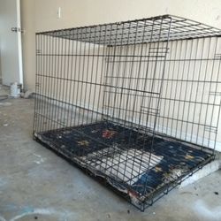 Big Dog Cage 