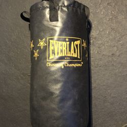 Everlast Punching Bag 24” 