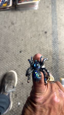 Amazing blue gem tarantula ring