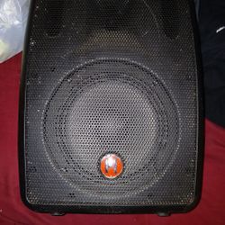 Karaoke bluetooth speaker