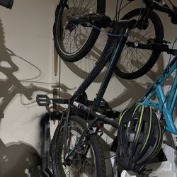 Boy And Girl Bicycles 