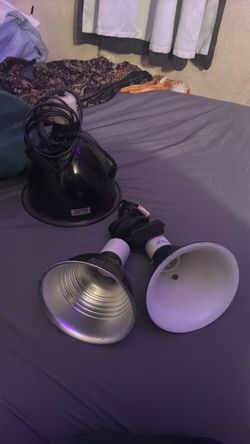 Reptile heat lamps