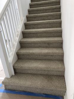 Carpet $$$