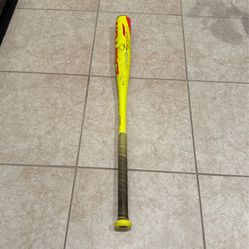 Easton Rival 29in -10 baseball Bat
