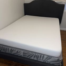Queen Size Bed With Mattress and Box Spring 