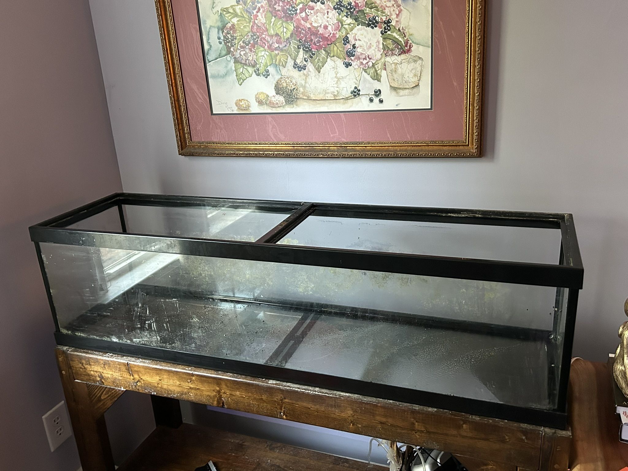33 Gallon Fish Tank