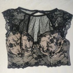 34D Dream Angels In San Tan 