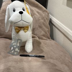 Graduation Dog