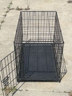 Kennel