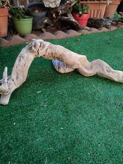 Curvy unique driftwood for aquariums terrariums decor and more