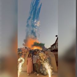 Gender Reveal  Decor And TNT And Powder Effect 