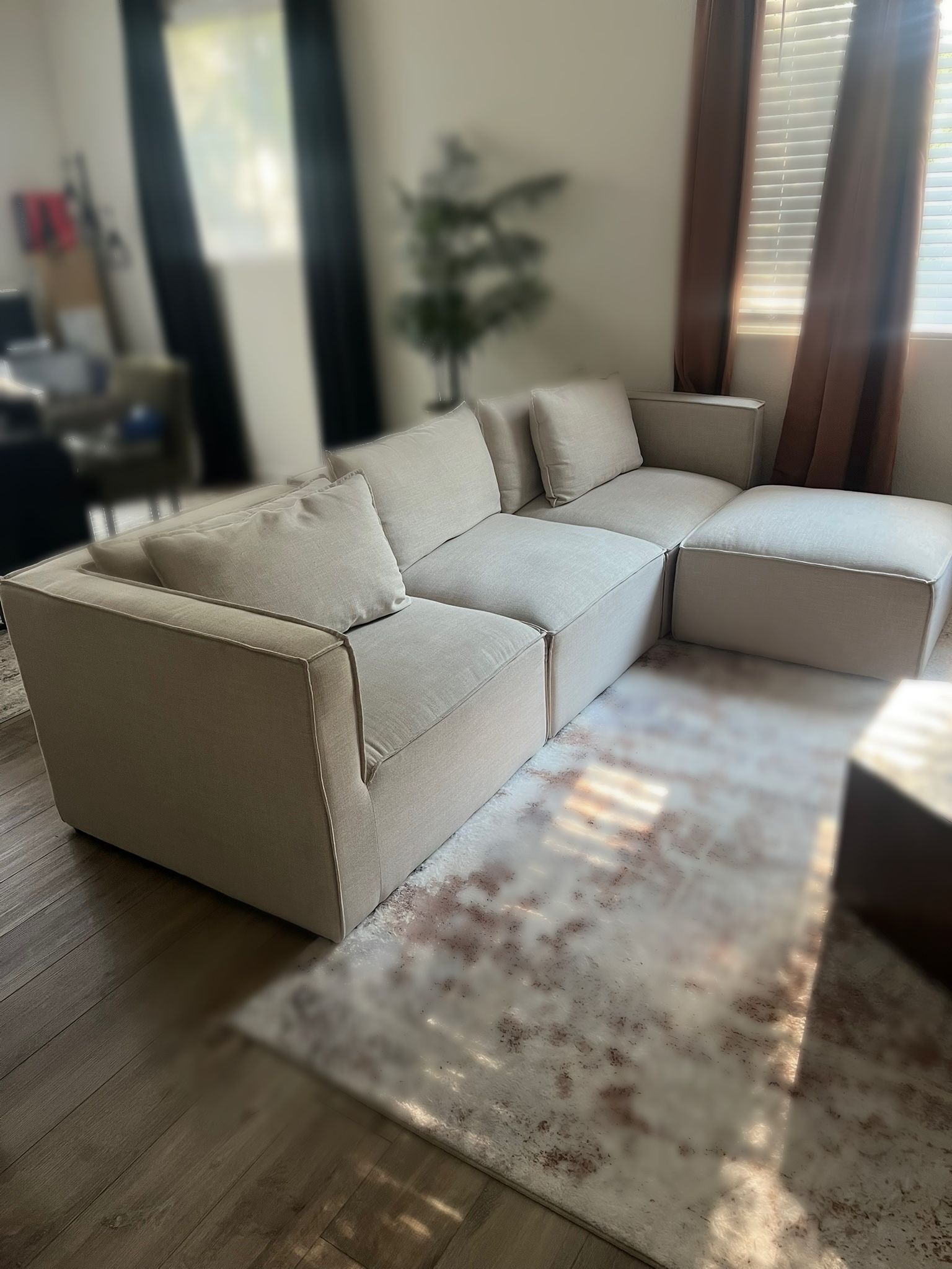 Modular Couch