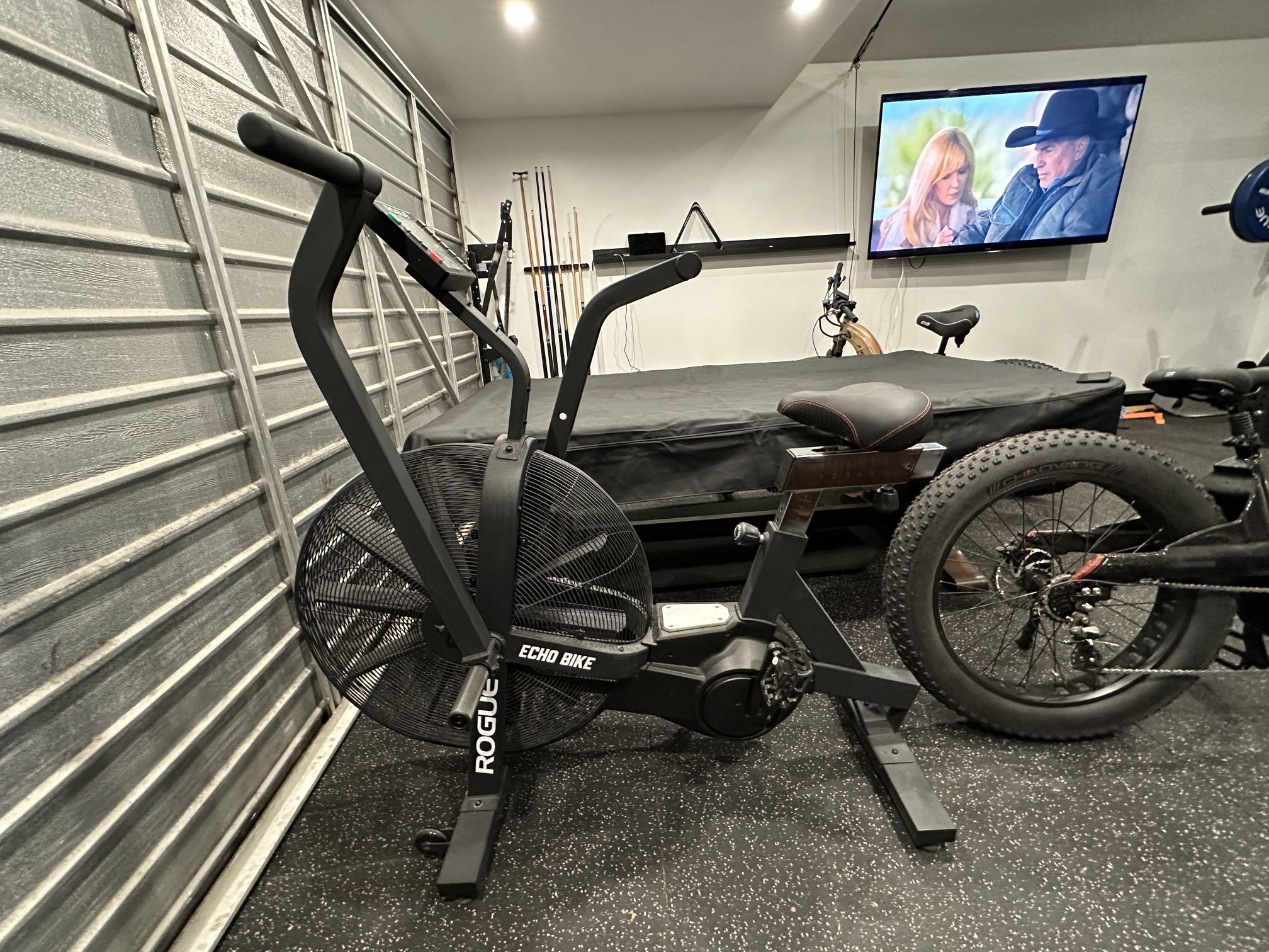 ROGUE ECHO BIKE for Sale in Torrance, CA OfferUp