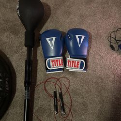 Title Boxing Reflex Punching Bag With Gloves And Jump Rope