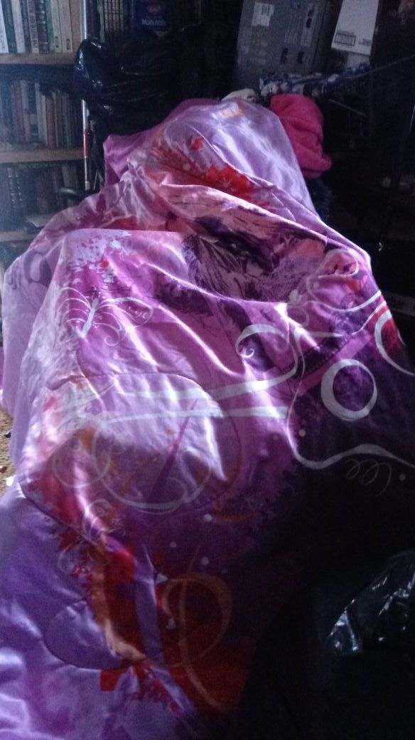 Hannah Montana twin confortner