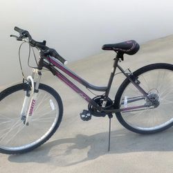 Pacific Mountain Bike 