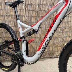 Stumpjumper 29er