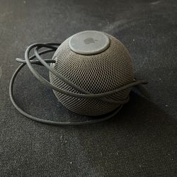 Apple home pod