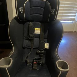 Graco Toddler Car Seat