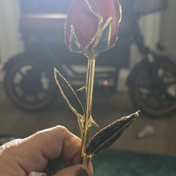 Our Timeless Roses evoke a timeless floral experience, second to none. Each rose is naturally preserved then dipped in genuine 24K gold to last a life