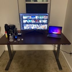 Monitor And Electric Standing Desk 