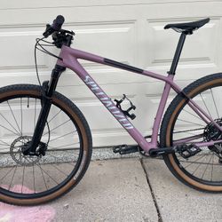 Specialized Epic