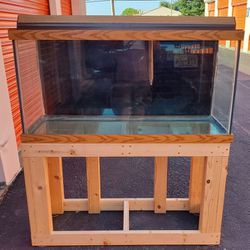 90 Gallon Aquarium Fish Tank Setup 