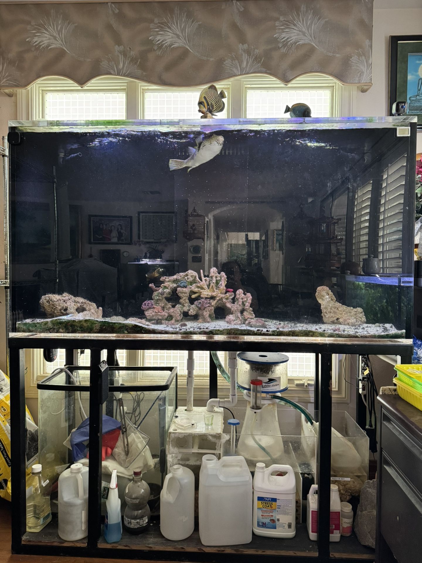 Aquarium Fish Tank 