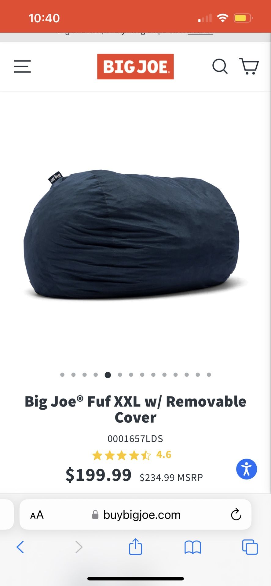 BIG JOE OVERSIZED BEAN BAG w/ WASHABLE COVER (GREAT CONDITION) - $100