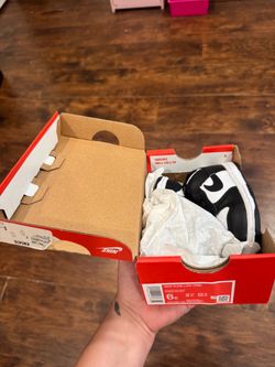 6c Nike dunks