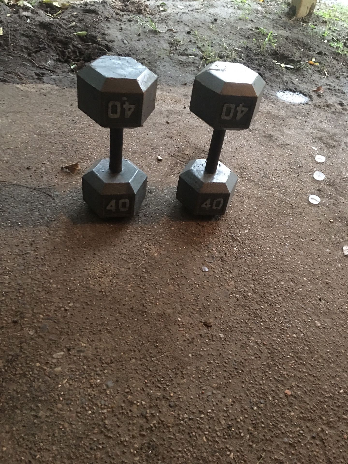 Weights -40lb