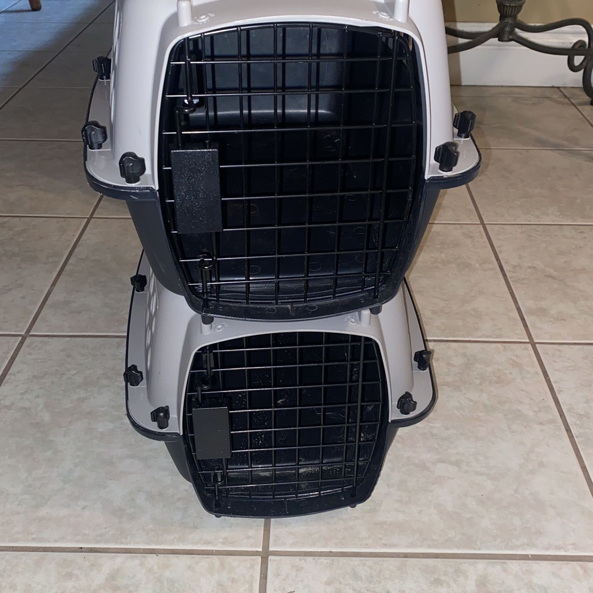 Small Dog Kennel