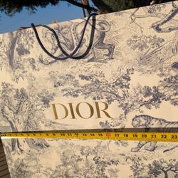 XL DIOR Paper Shopping Bag - 25" x 20" x 10"