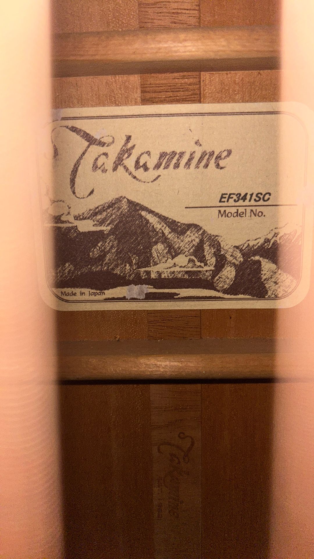 Takamine Legacy 